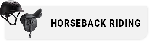 Image of Horseback riding blogs