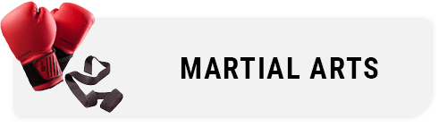 Image of Martial arts blogs